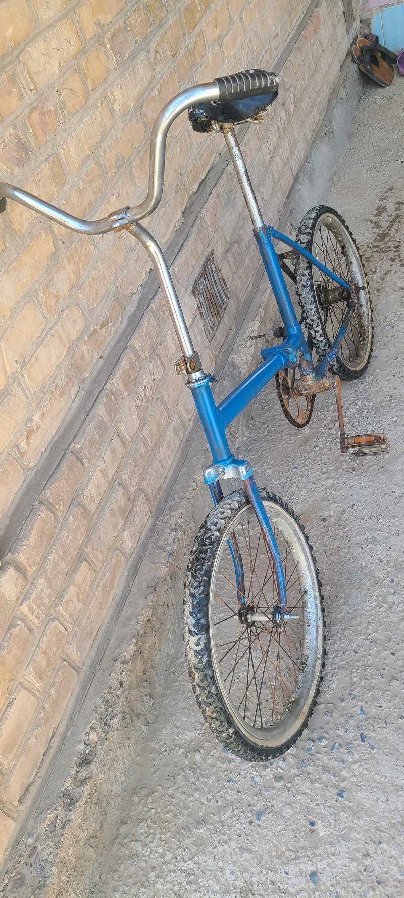 260 welsoped kama tigir welik - Mary - img 5