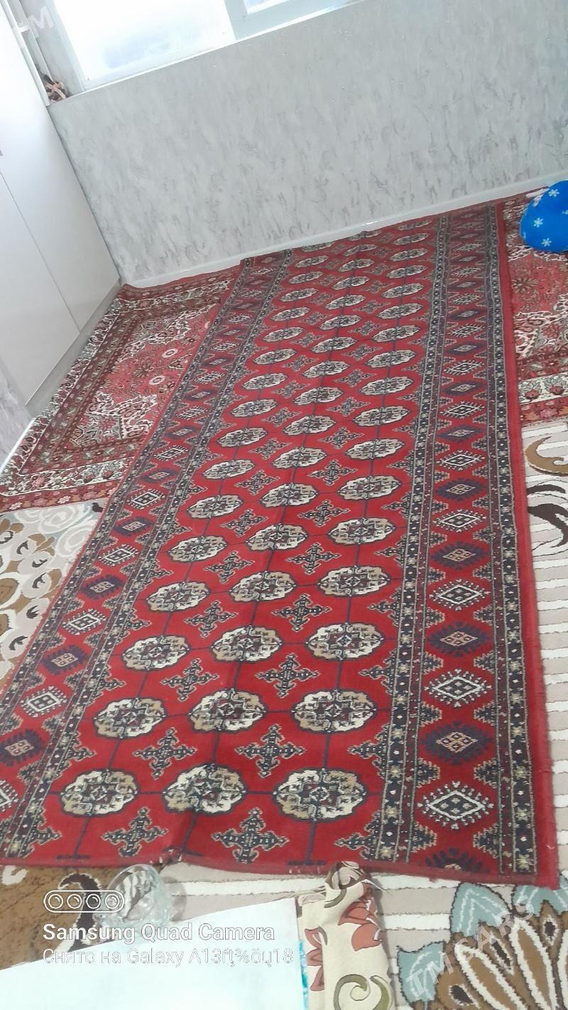 haly - Balkanabat - img 1