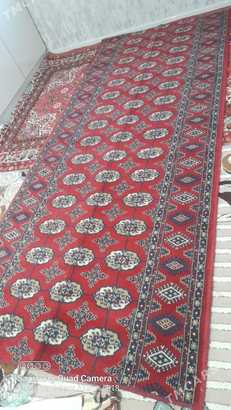 haly - Balkanabat - img 2