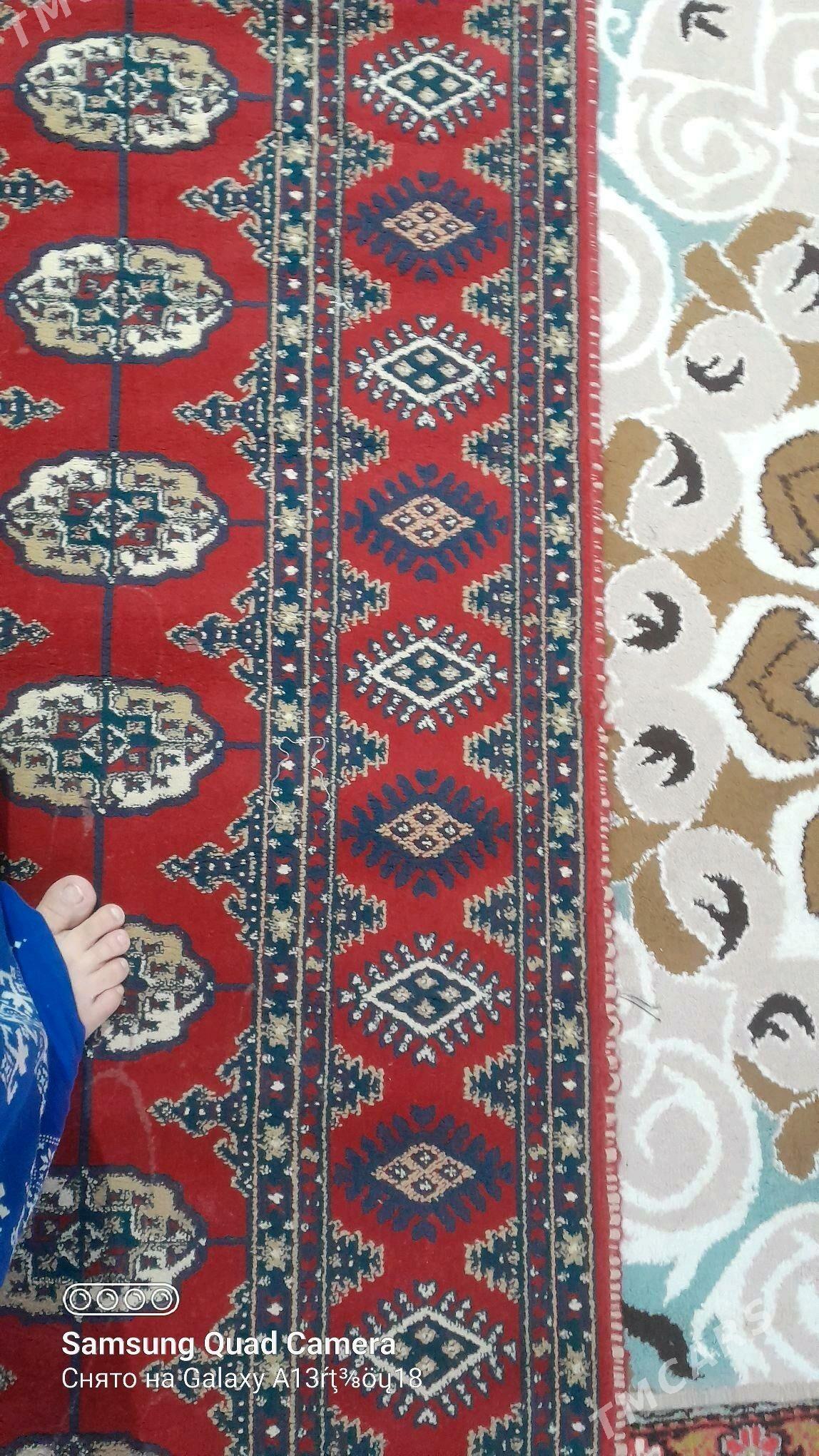 haly - Balkanabat - img 3