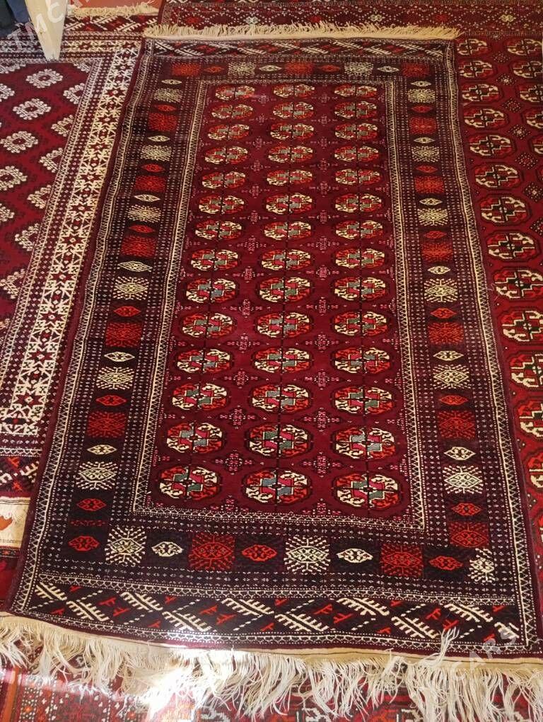 haly - Balkanabat - img 2