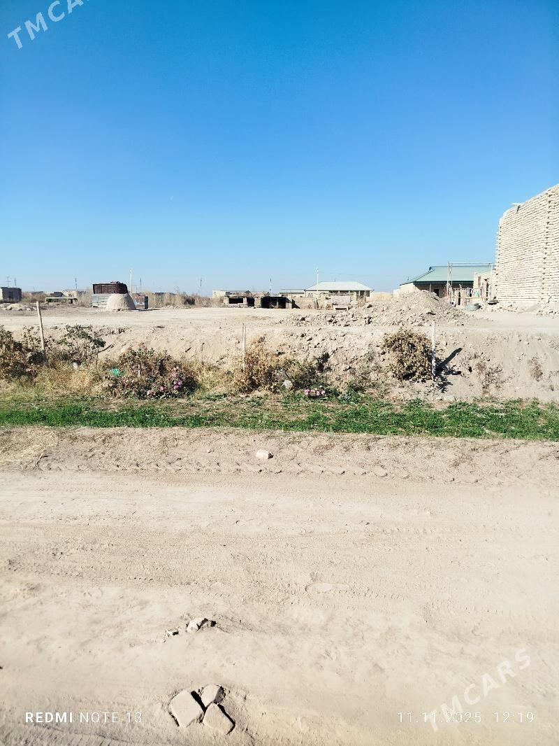 satylyk mellek - Türkmenabat - img 2