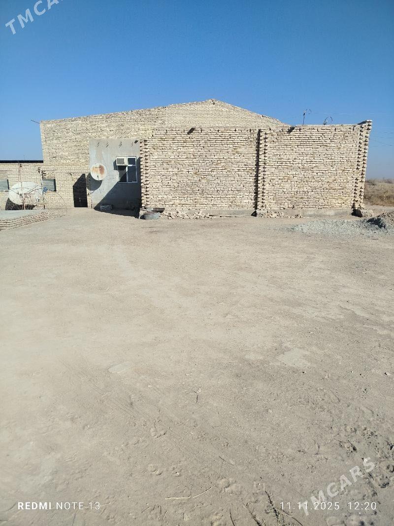 satylyk mellek - Türkmenabat - img 3