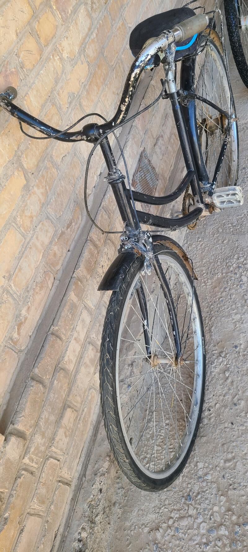 tigir welik kama welsoped - Mary - img 6