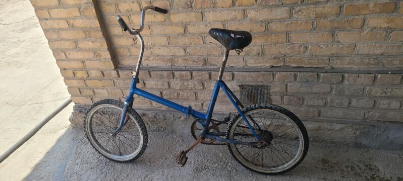 tigir welik kama welsoped - Mary - img 7