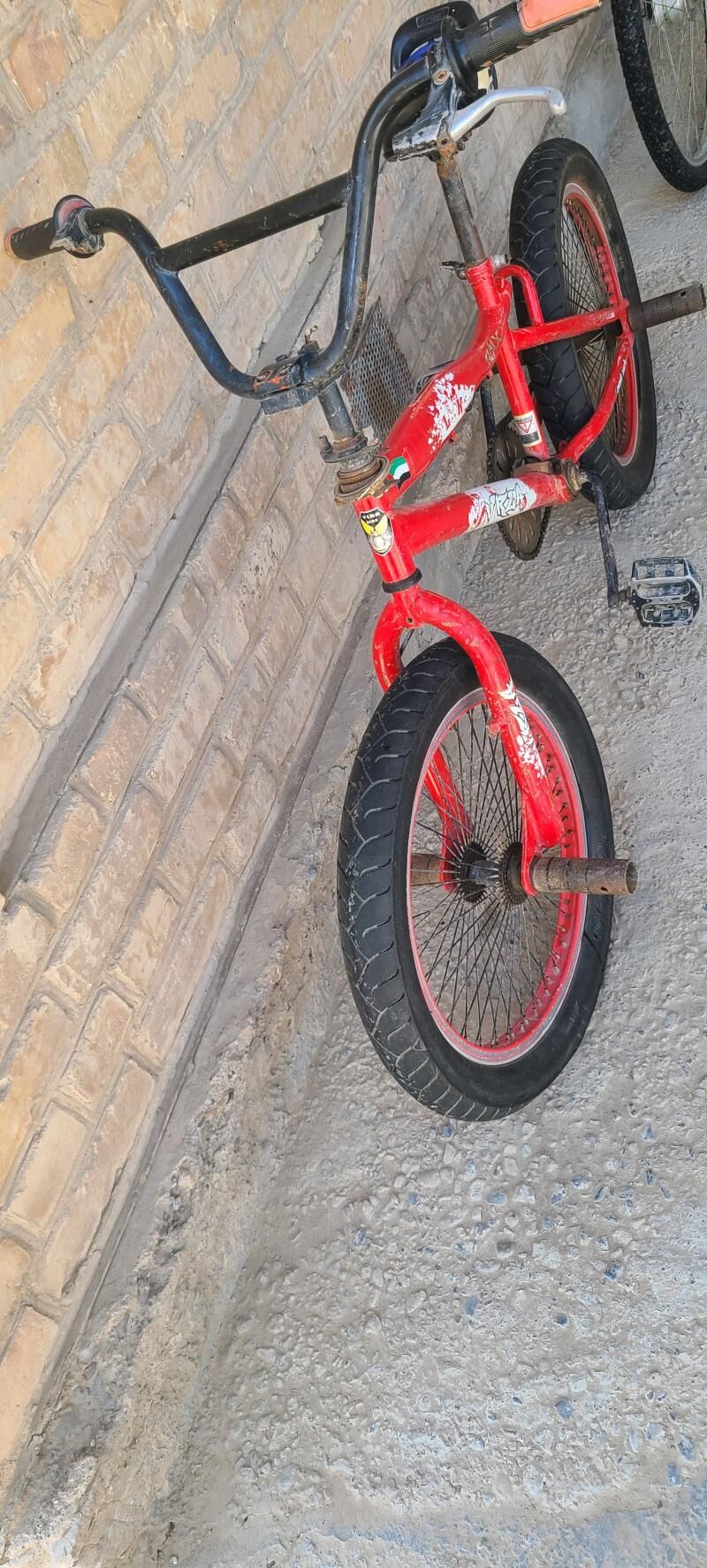 tigir welik kama welsoped - Mary - img 5