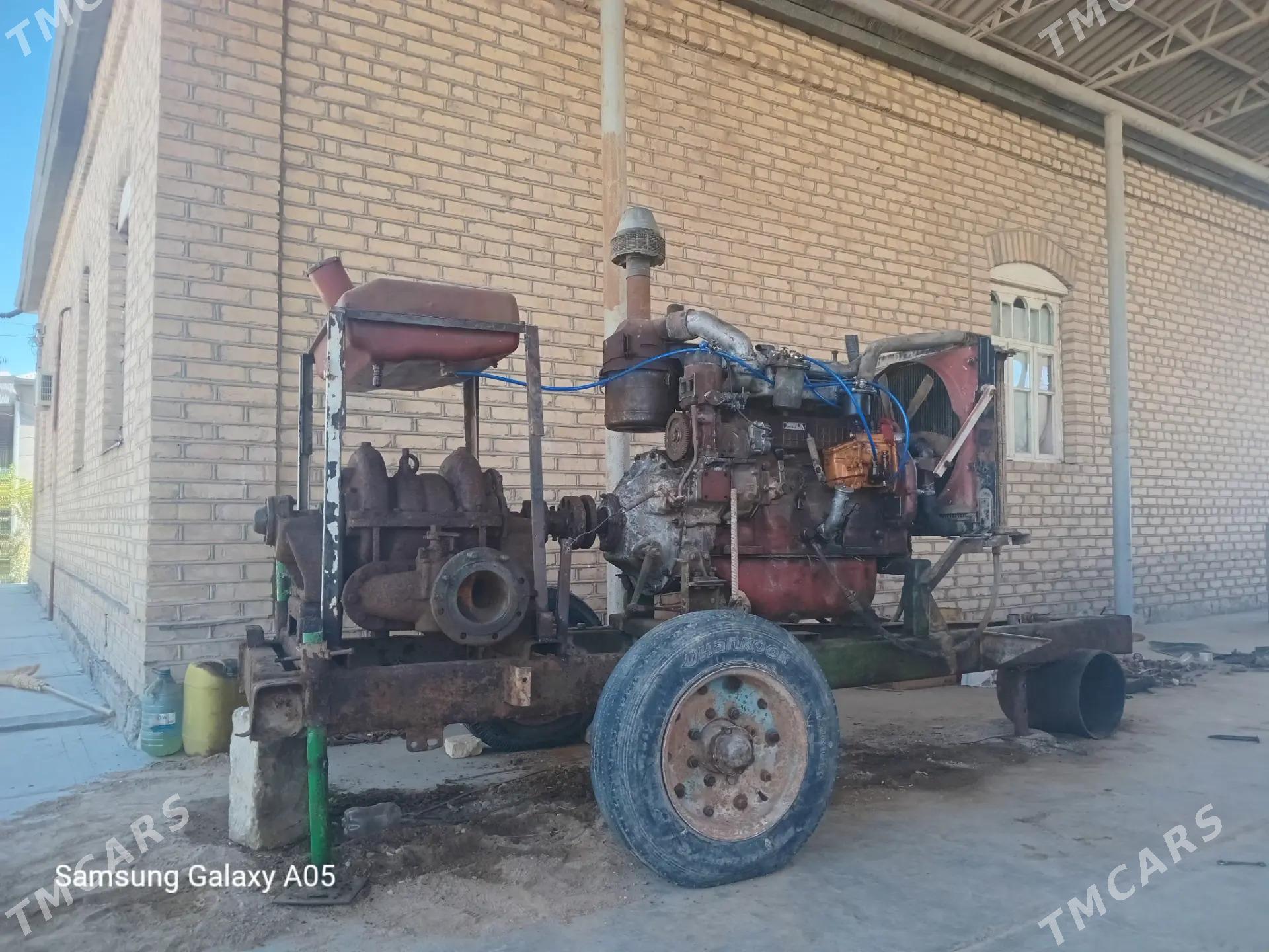 suw nasis - Мургап - img 2