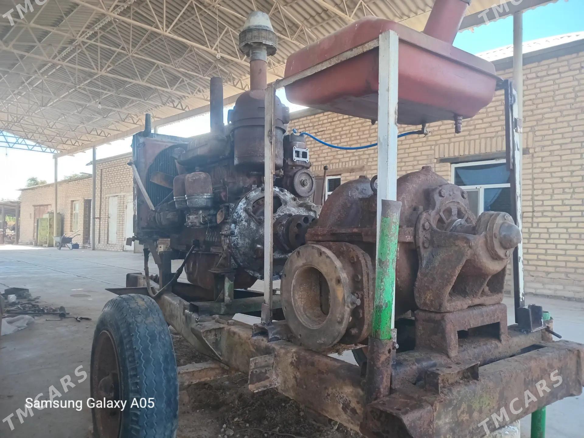 suw nasis - Мургап - img 3