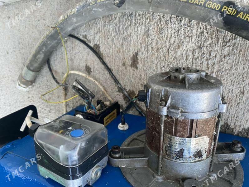 Farsunka katelni - Ak bugdaý etraby - img 2