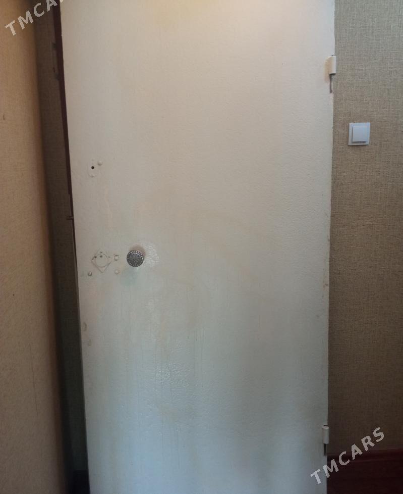 Дверь железная - Mary - img 1