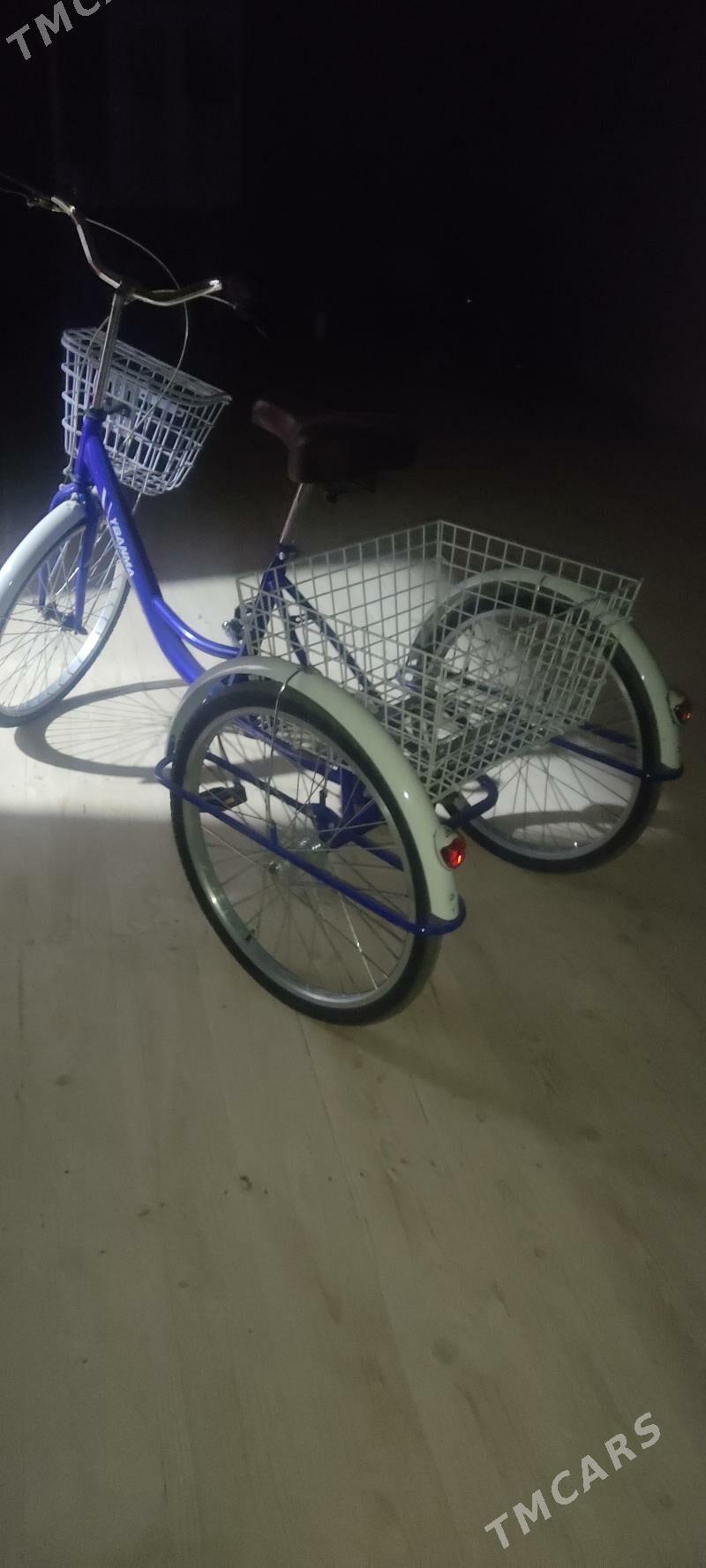 Kama welsepet - Sakarçäge - img 2