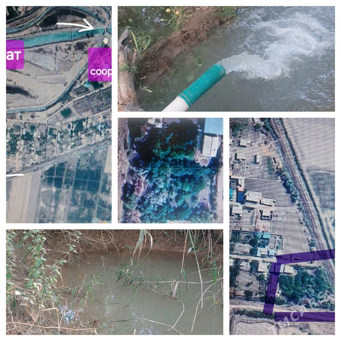 daça - Daşoguz - img 8