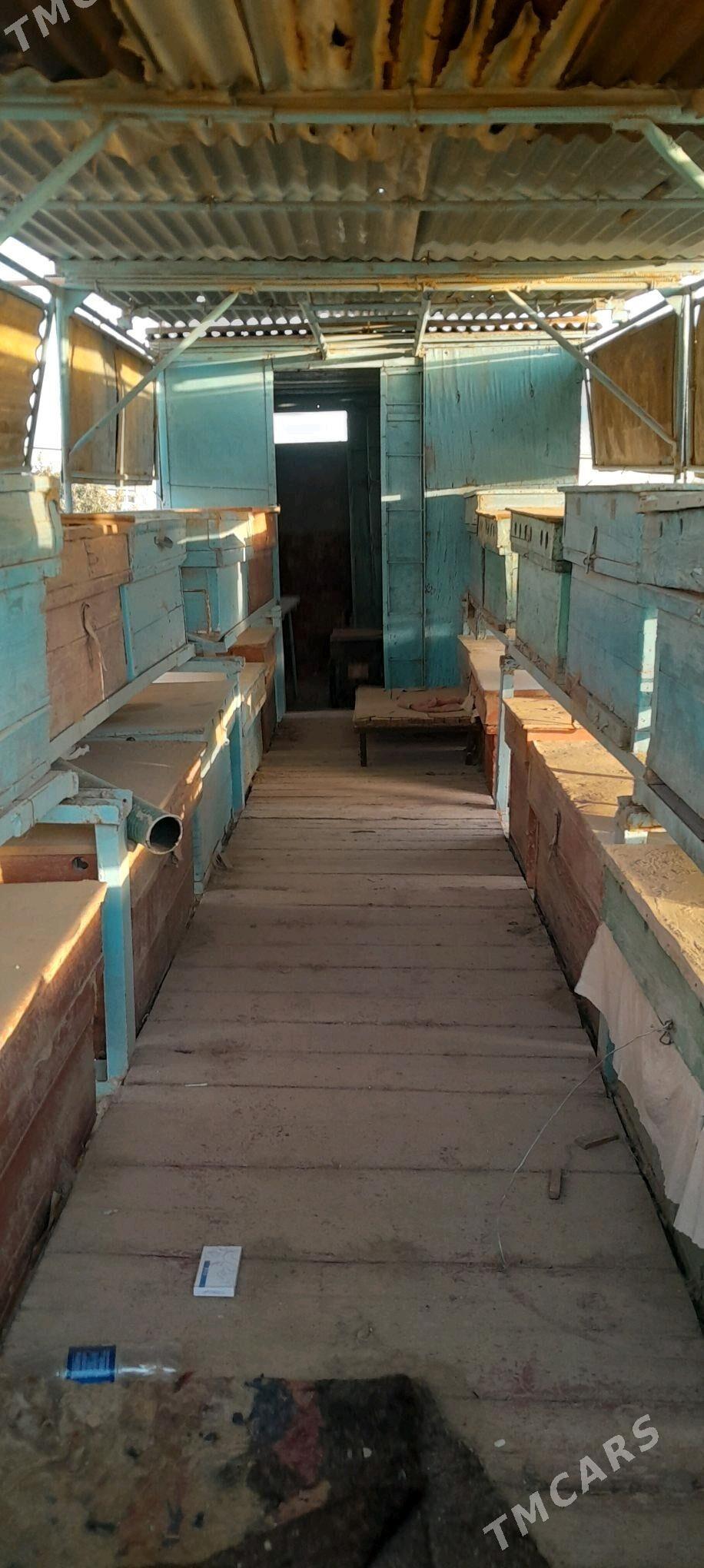 ary prssep - Векильбазар - img 2