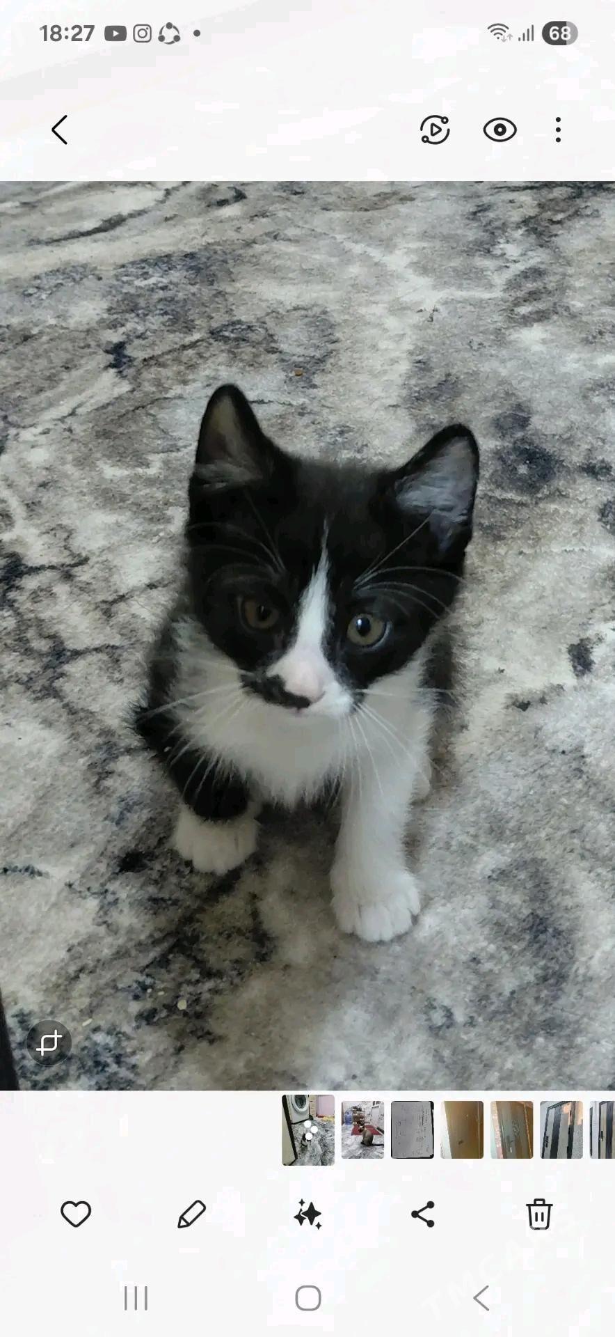 В ДОБРЫЕ РУКИ - Türkmenabat - img 3