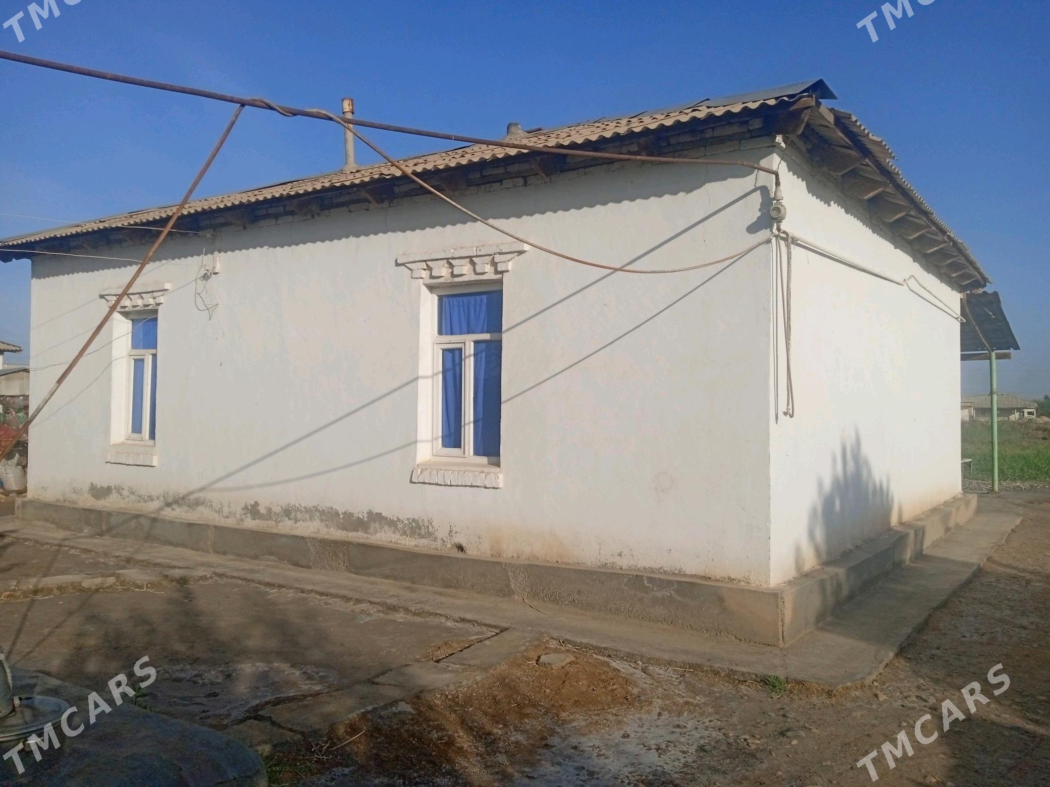 satlyk plan jaÿ - Бабадайхан - img 1