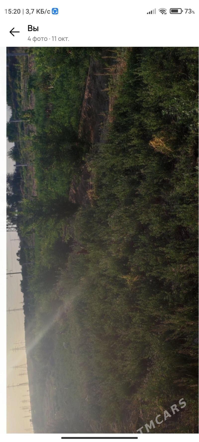 Anew plan - Анев - img 1