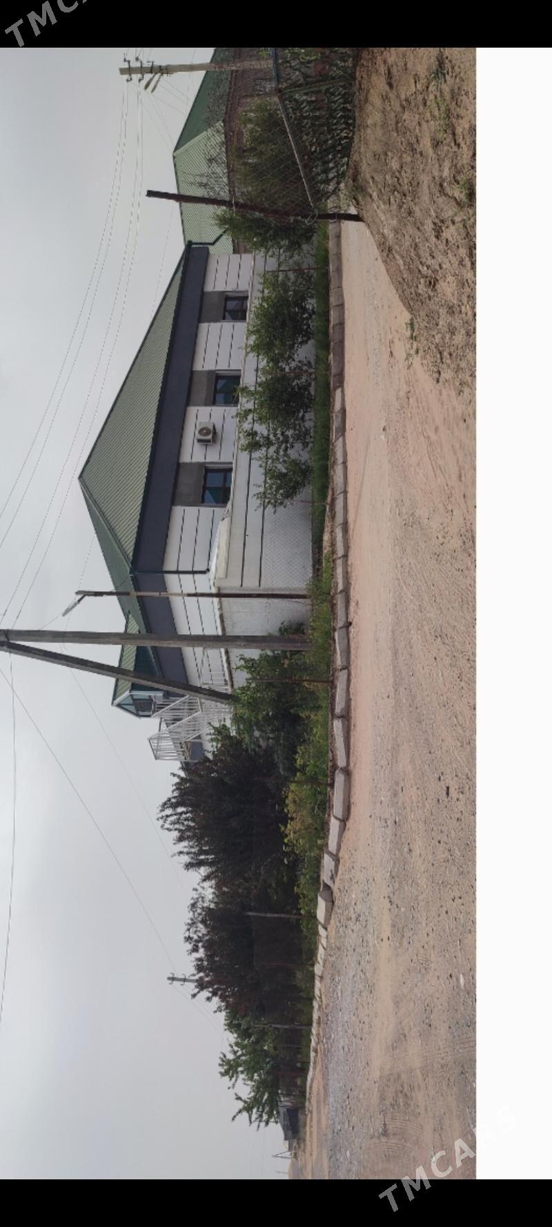 Änew plan - Änew - img 6