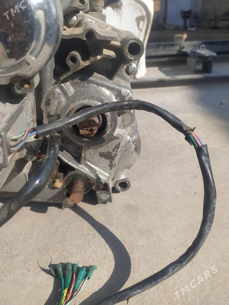 150 mtr diwitel - Esenguly - img 3