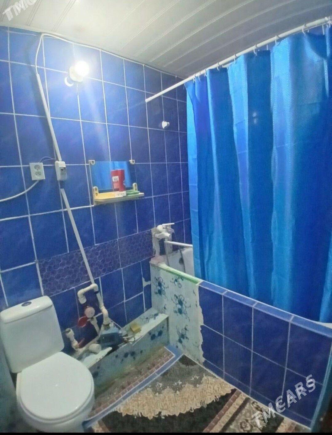 satlyk jay - Мары - img 7