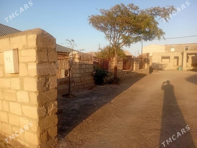 Satlyk jay - Türkmenbaşy - img 4