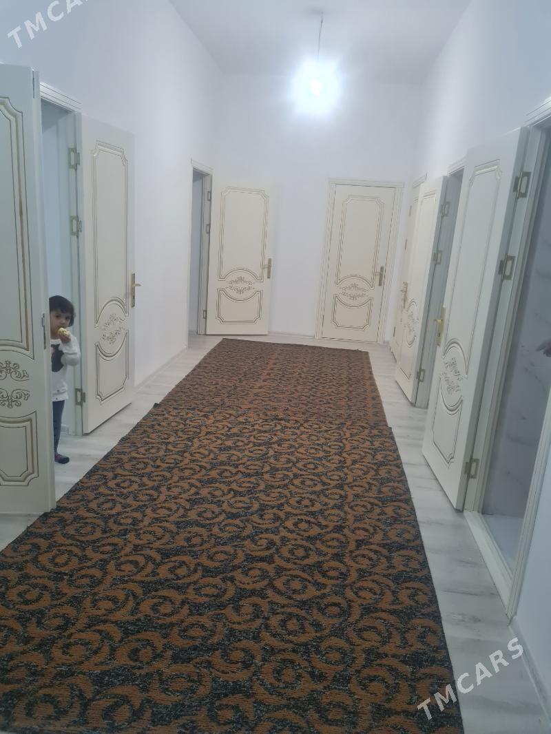 Kreyne jay berilyar - Daşoguz - img 2