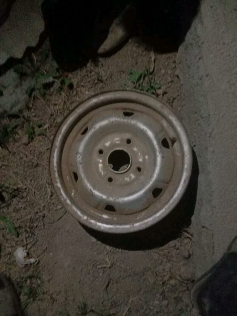 disga 120 TMT - Mary - img 2