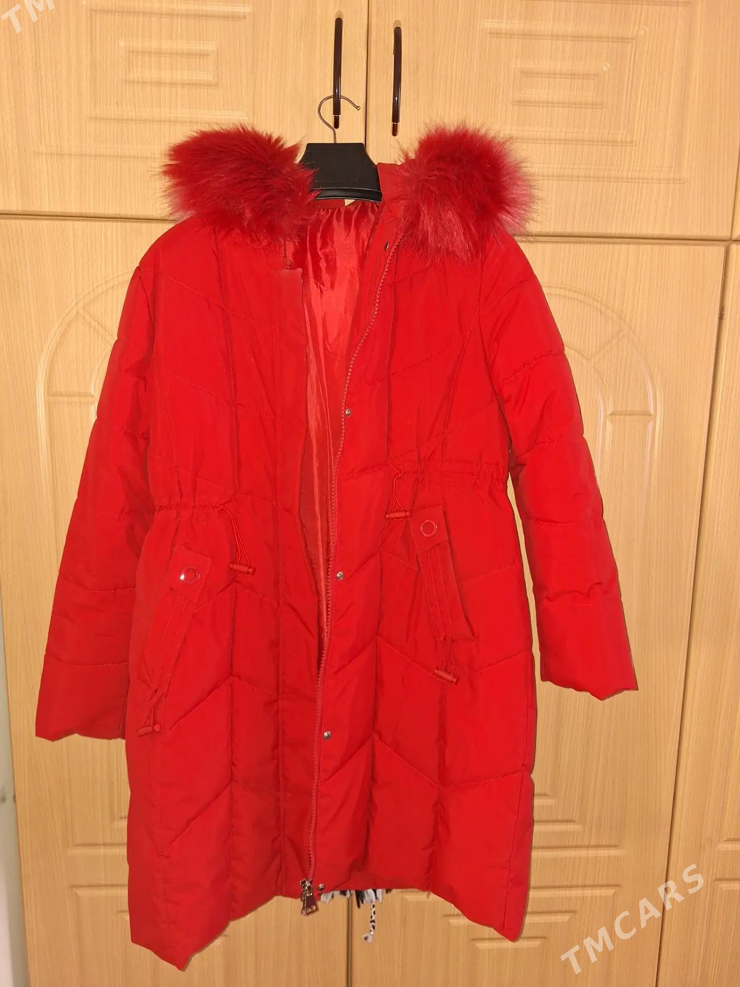 ayal kurtga - Ашхабад - img 4