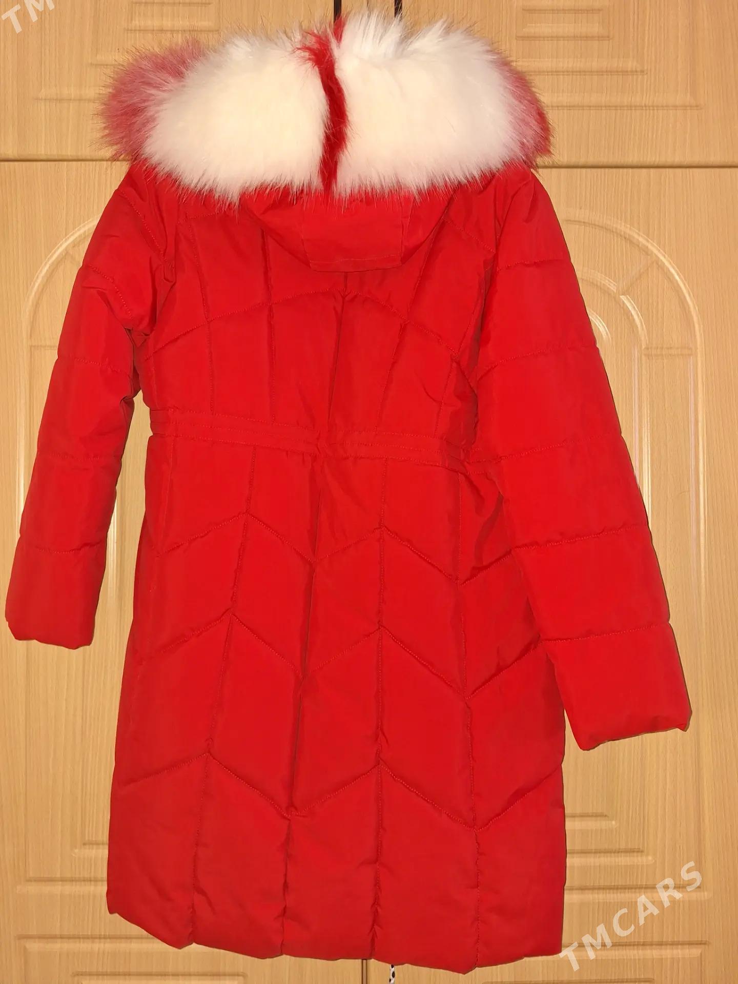 ayal kurtga - Ашхабад - img 3