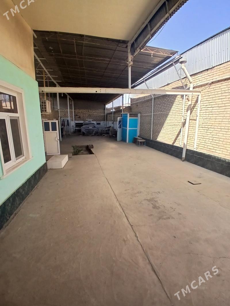 Arenda jay - Мары - img 7