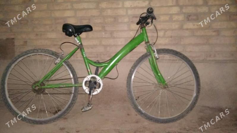 Turkmenistan welik - Сакар - img 2