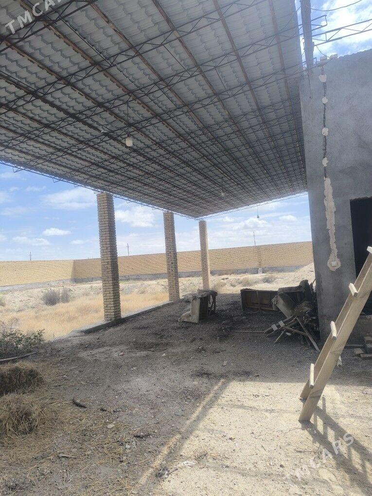 SATLYK ÖY FARAP - Туркменабат - img 9