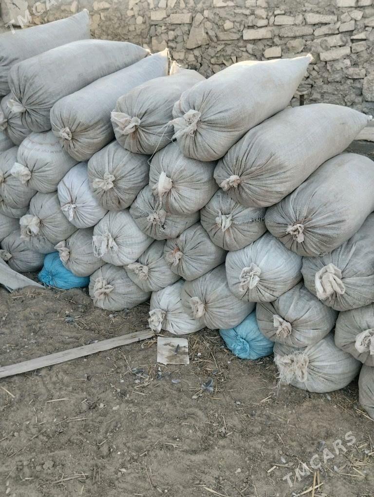 cor - Балканабат - img 1