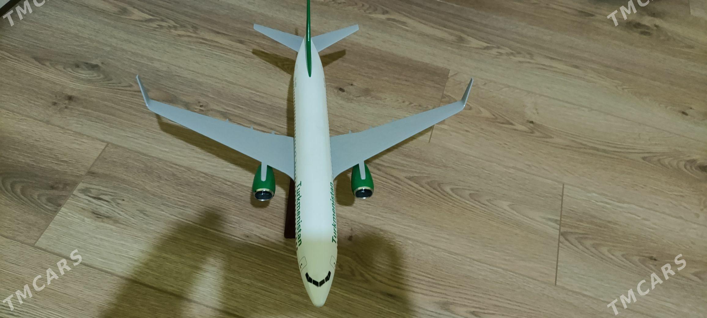 Модель самолёта Boeing 737-800 - Ашхабад - img 1