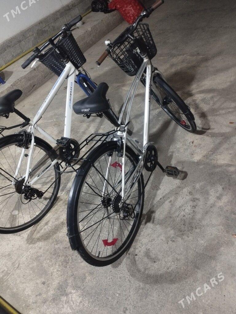 Yapoşka tigir - Гарадамак - img 2