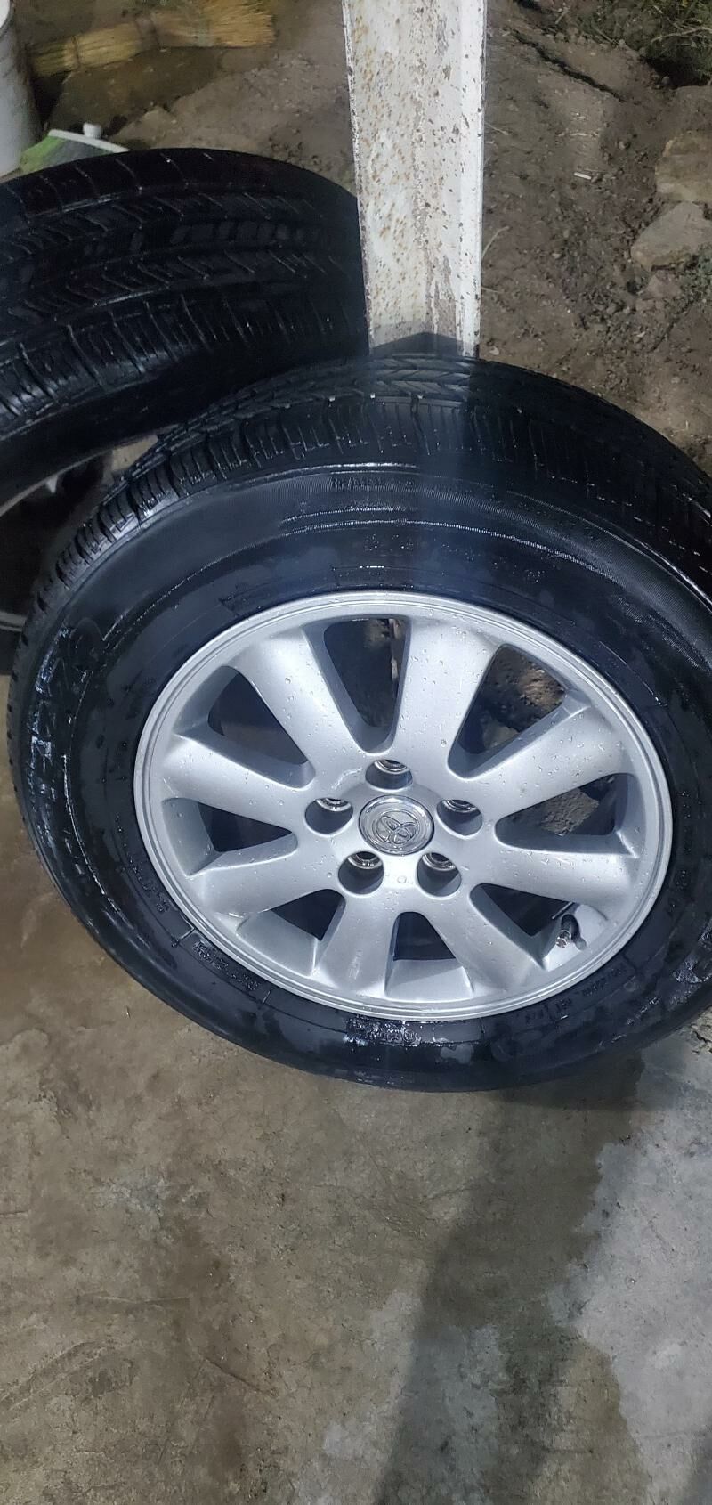 Disge 4 000 TMT - Mary - img 4