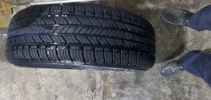 Disge 4 000 TMT - Mary - img 2