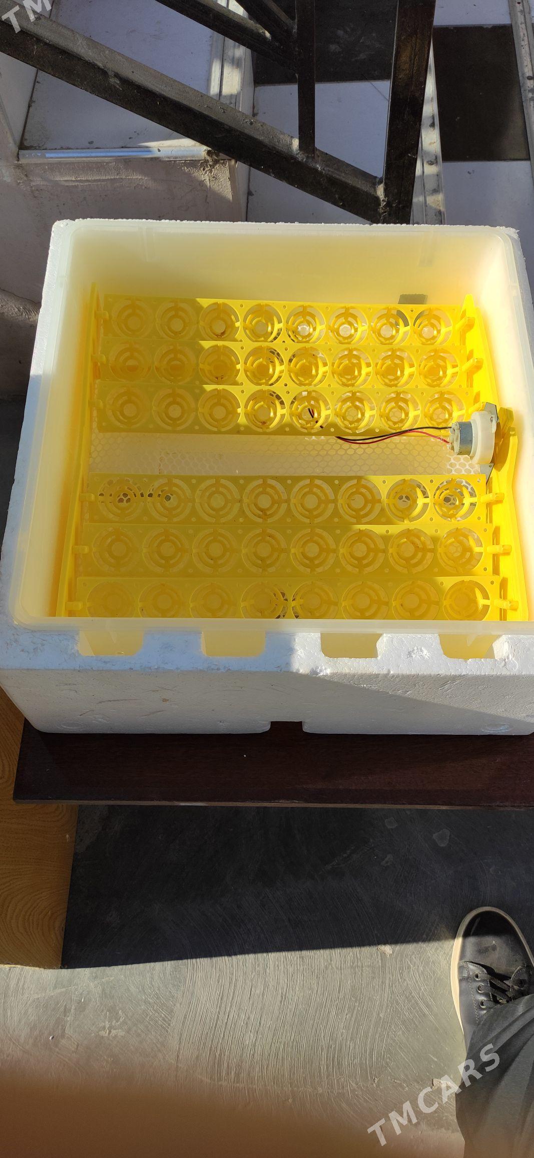 Инкубатор( Egg incubator) - Туркменабат - img 3