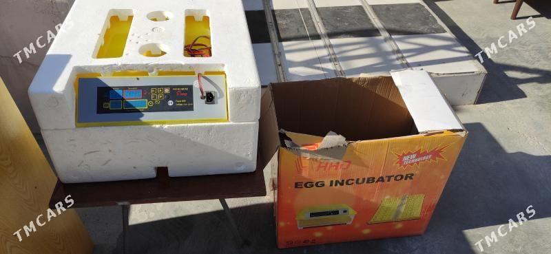 Инкубатор( Egg incubator) - Туркменабат - img 2