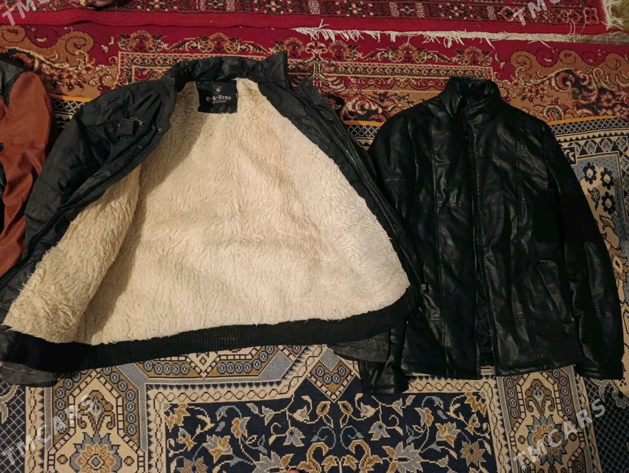 Galyn Kurtga, Koźa we ś.m - Bäherden - img 3