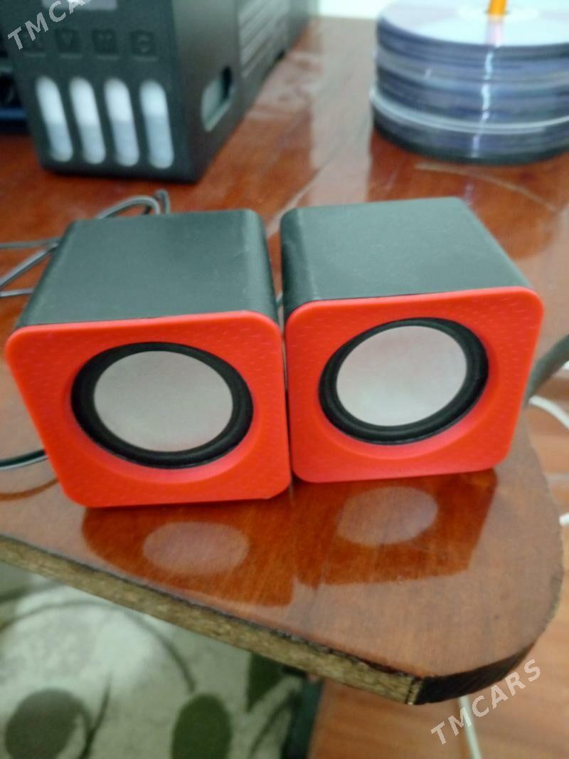 Kalonka - Mary - img 1