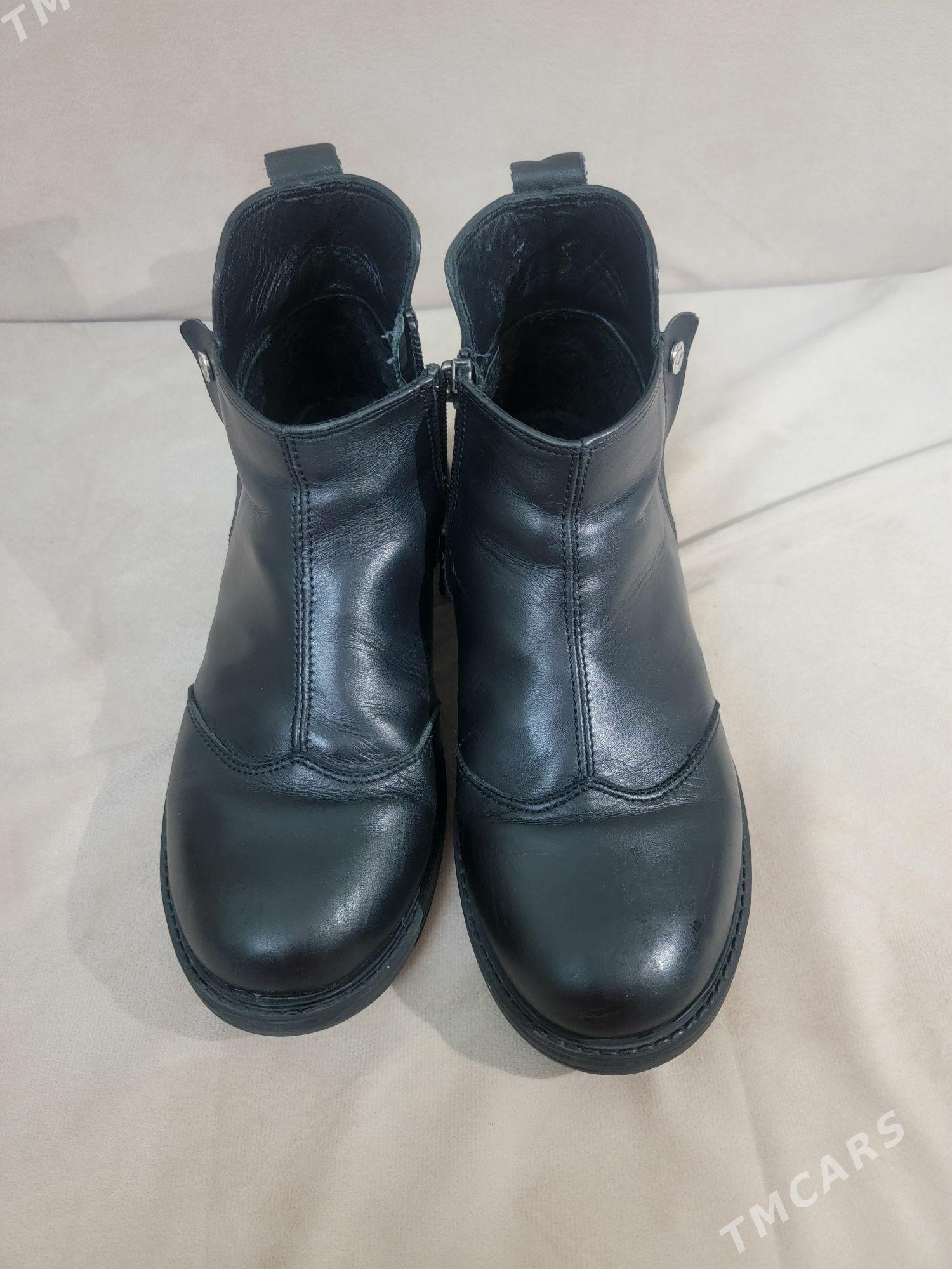 Çaga ädik - Aşgabat - img 2