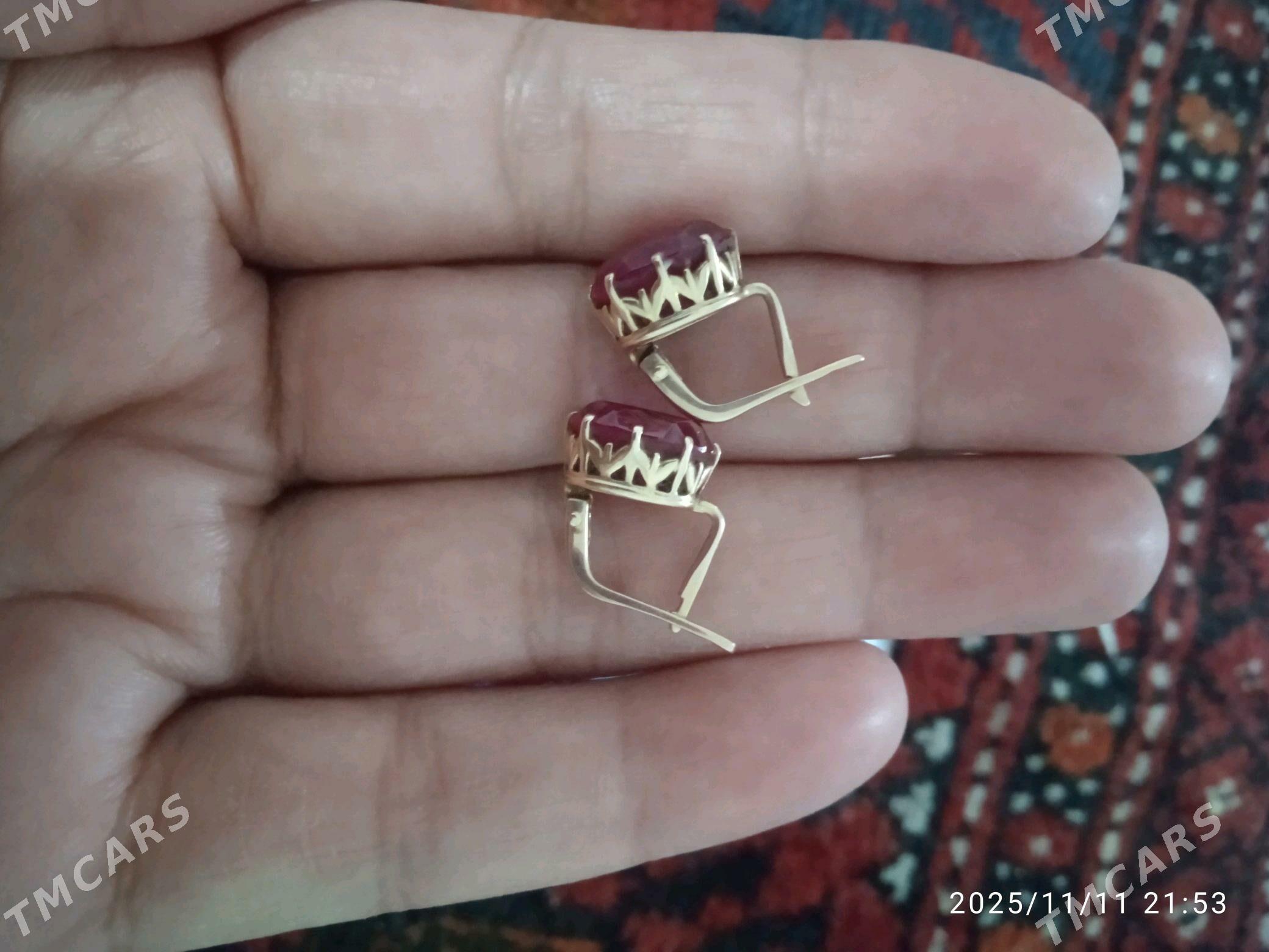 gadym gyzyl gulakhalka - Änew - img 2