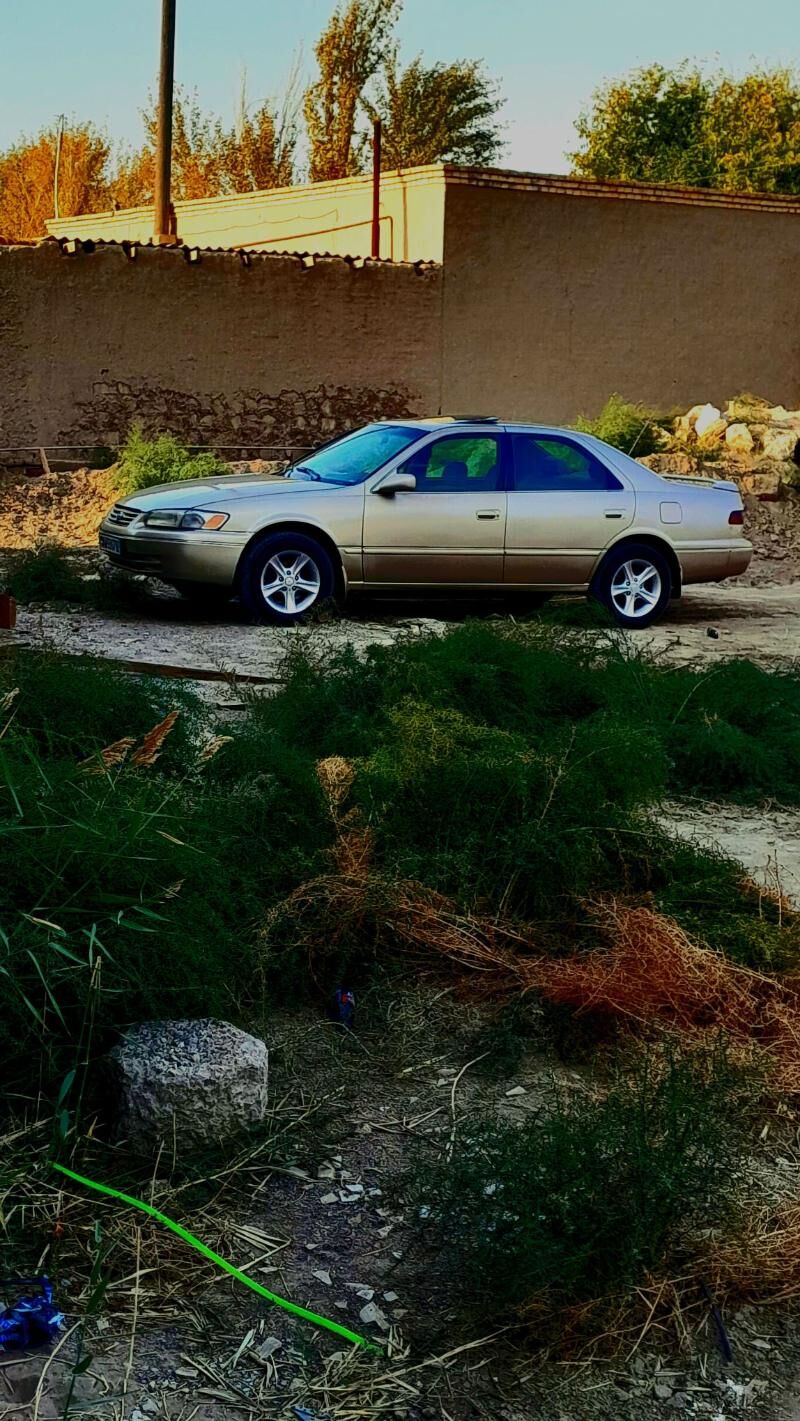 Mary diska 15 lk 123 TMT - Кёнеургенч - img 1