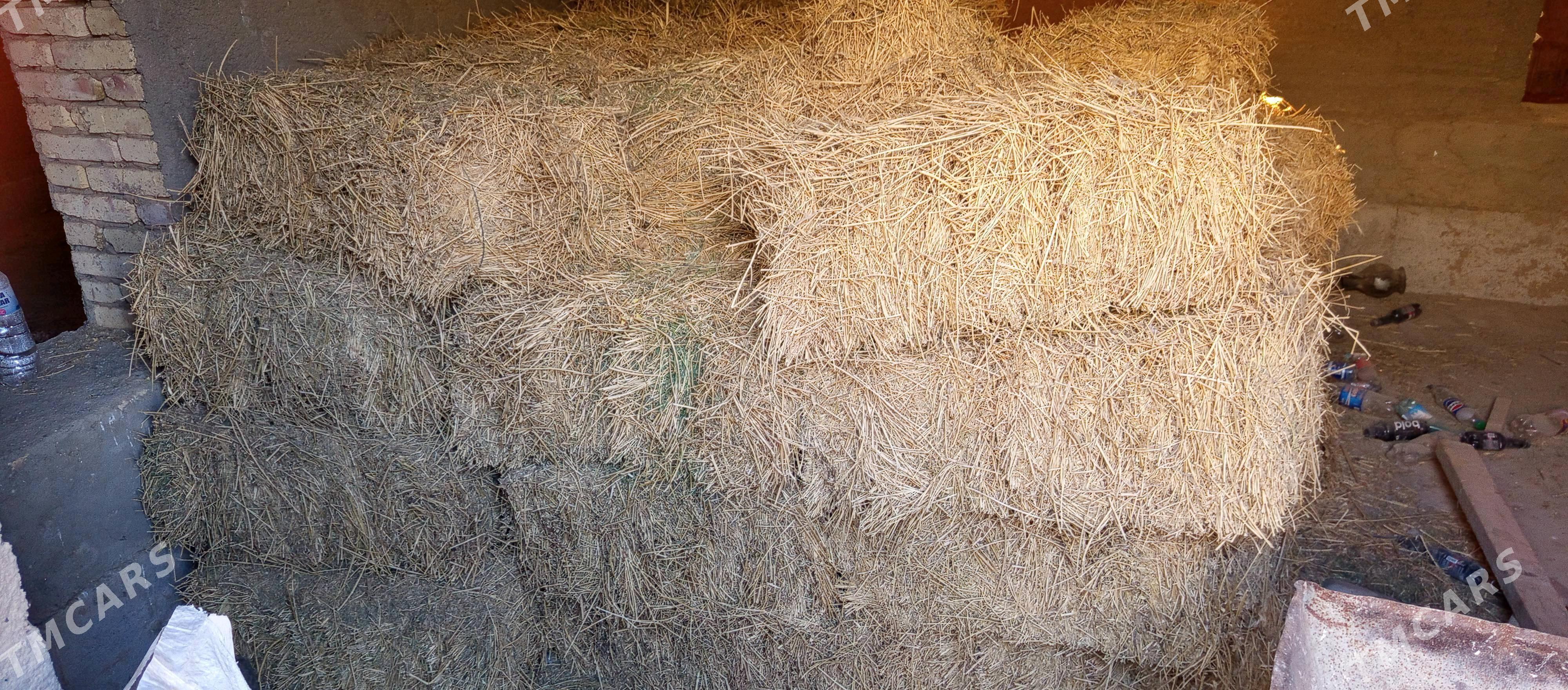 kip yorunja ba 65stuk - Oguz han - img 1