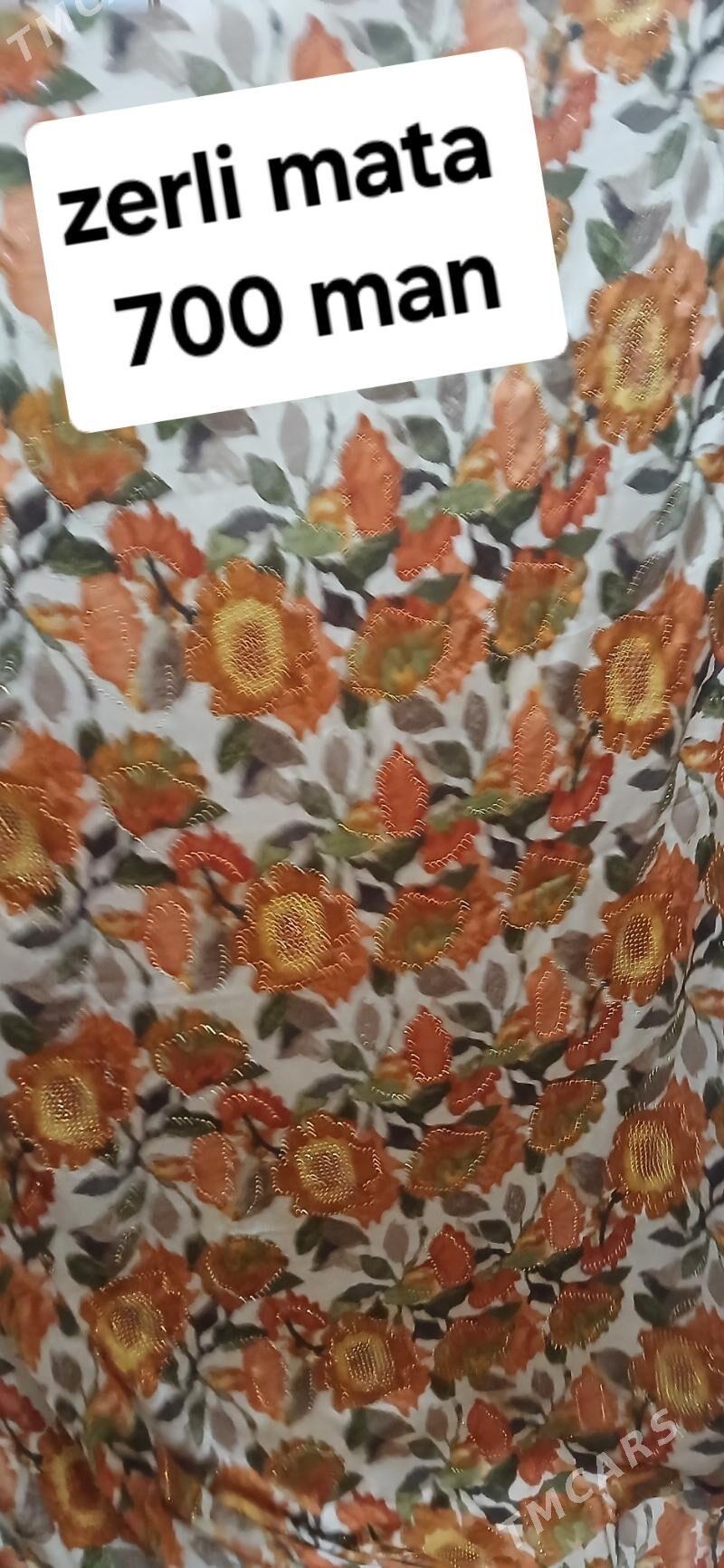 Matalat,secekli yalyklar - Aşgabat - img 5