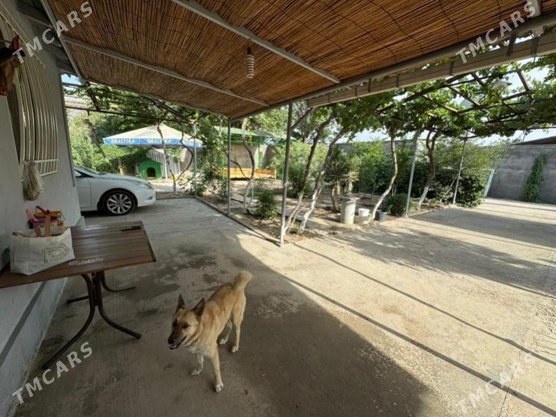 Anew 12 sotok 3 komn jay - Änew - img 9