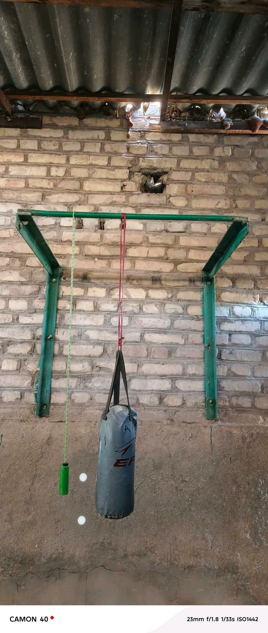 Uly turnik - Daşoguz - img 2