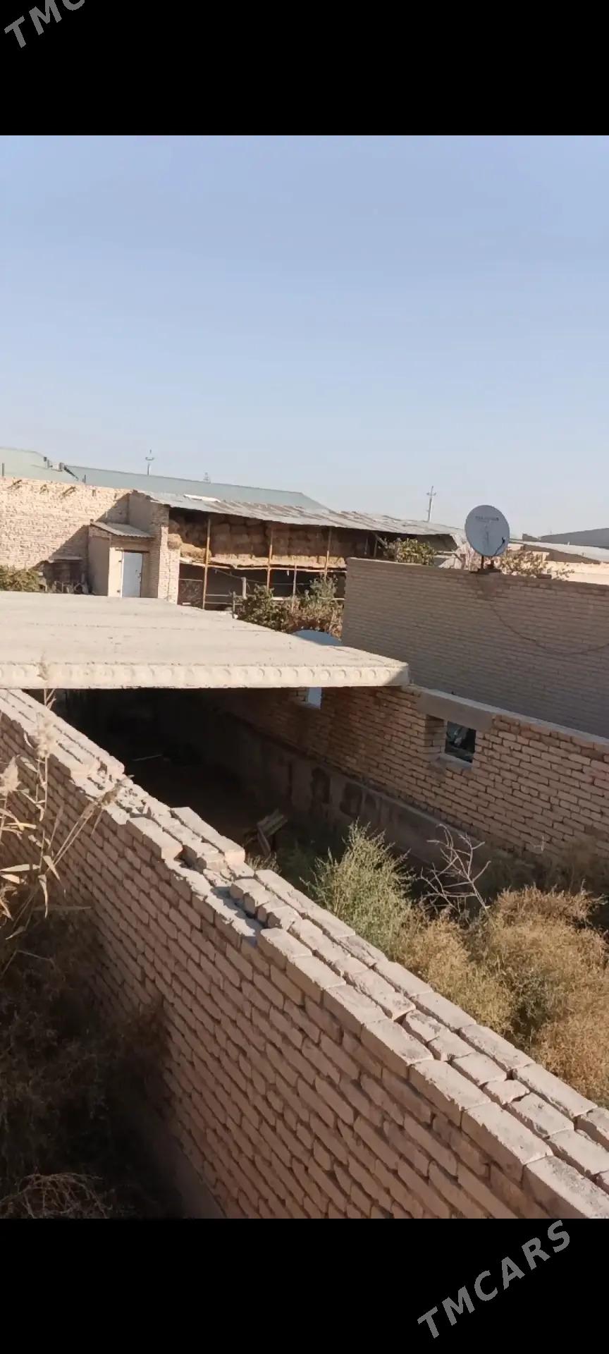 Satlyk Mellek TALHAMBAZAR - Туркменабат - img 6