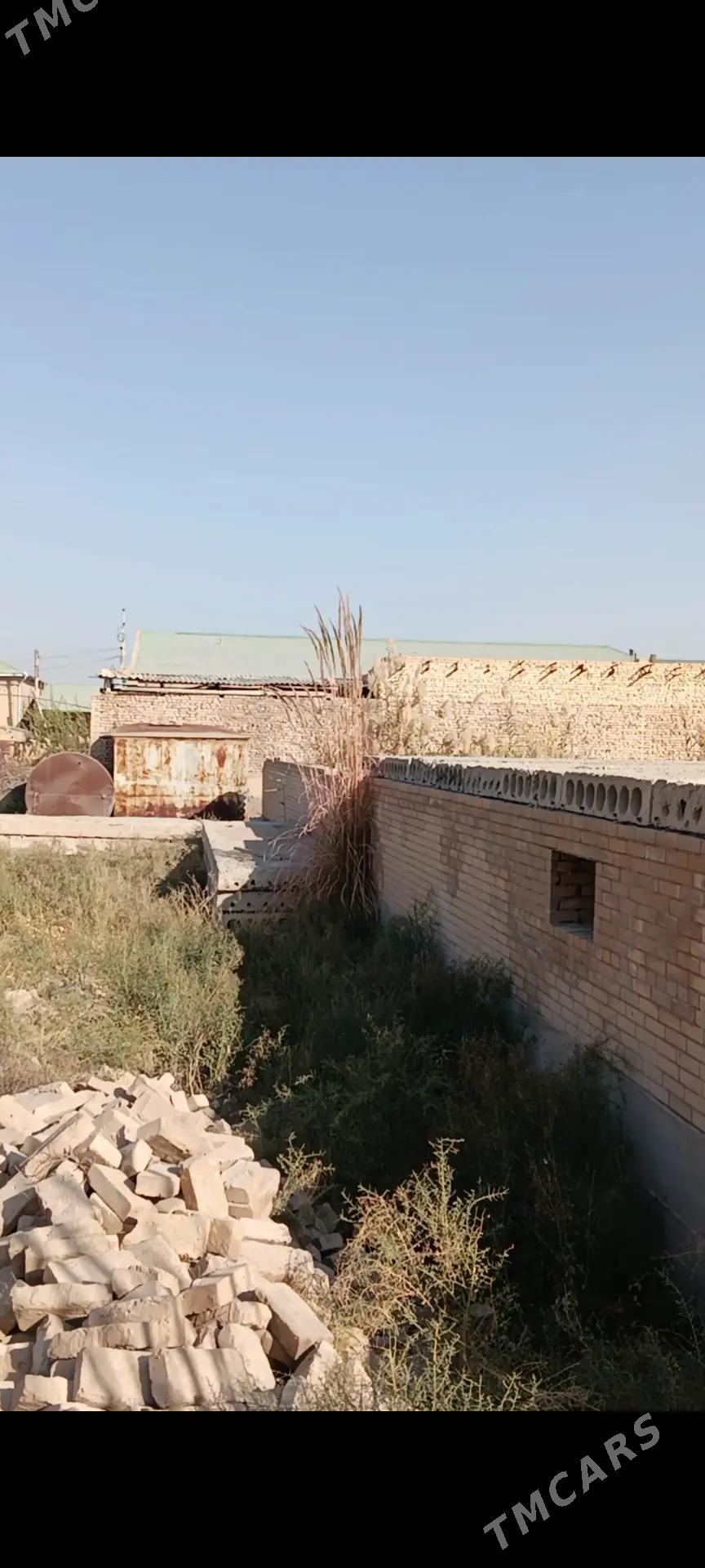 Satlyk Mellek TALHAMBAZAR - Туркменабат - img 4