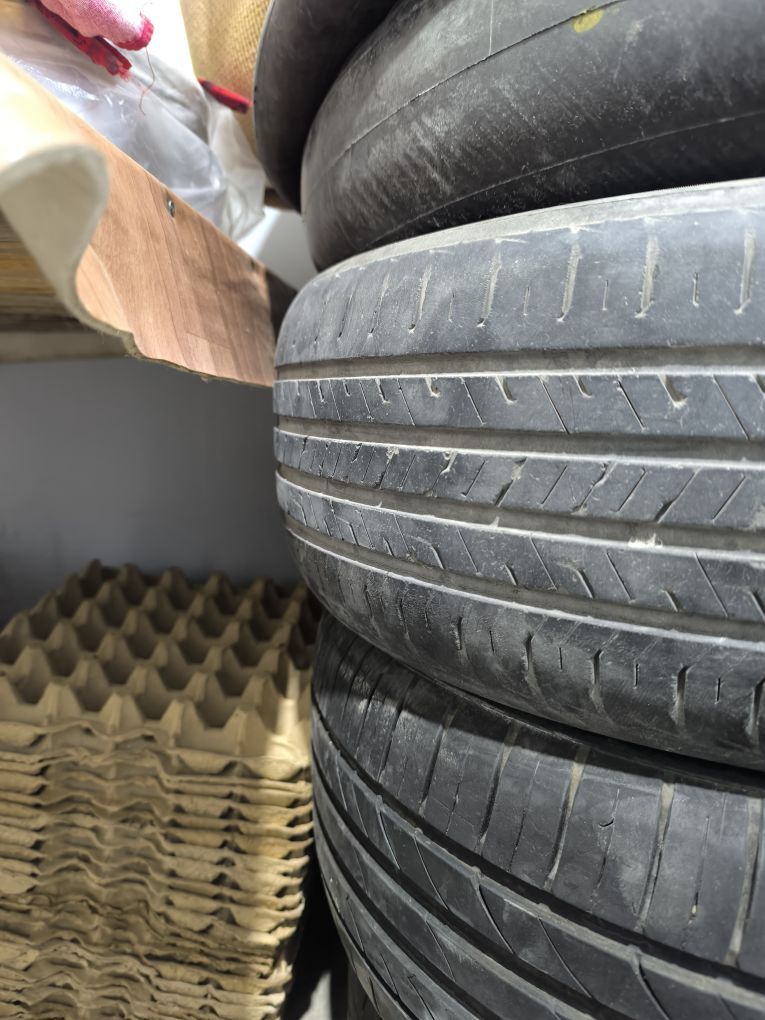 205 60 16 trakmax 300 TMT - Türkmenabat - img 2